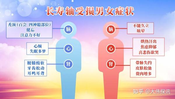 食补如何补肾、调神、养心 - 知乎