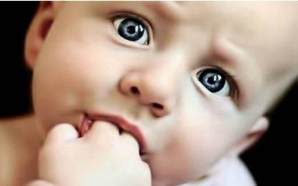 几个月可以吃磨牙棒了 v2-144e23ba2435c34b4264921250d70e8d_1200x500.jpg