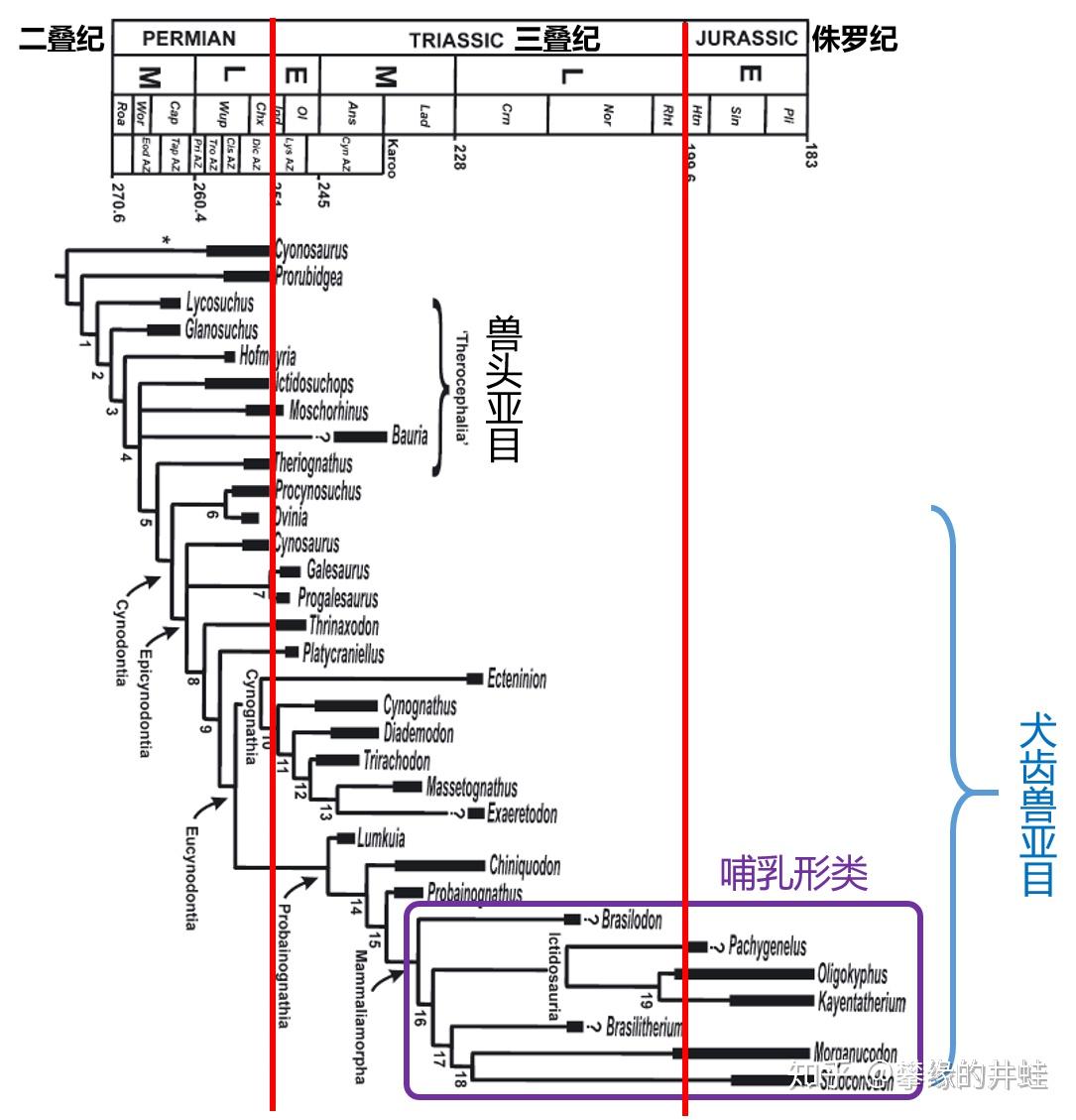 【地球演义】百兽图7：赶狻猊 - 知乎
