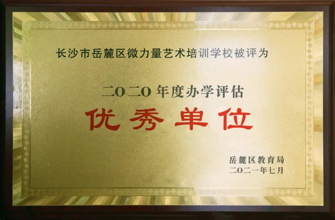 长沙市岳麓区教育局评估结果通报文件10年来,微力量坚持依法办学,依规