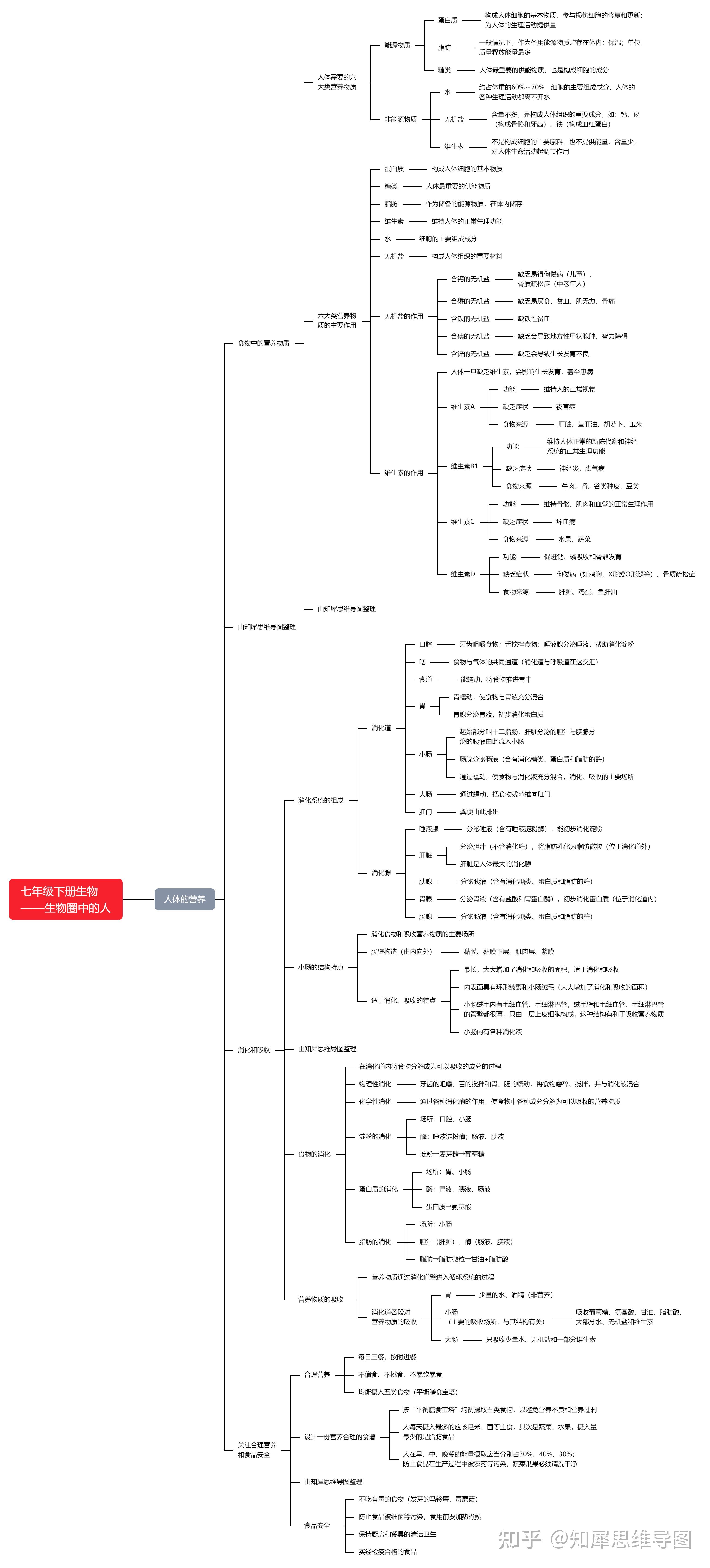 思维导图(链接为电子版原图,可复制编辑修改)七年级下册生物人的由来