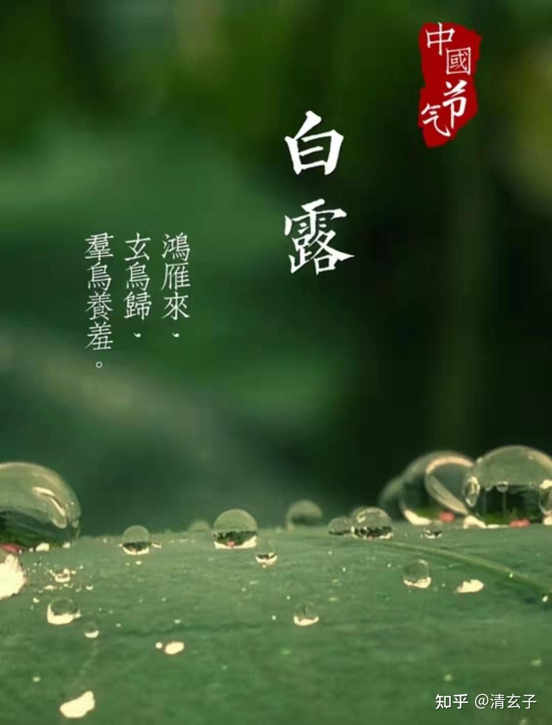 今天是秋天第三个节气白露