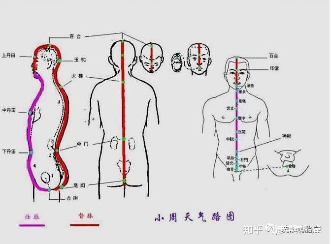 大小周天运行图及解释打通大周天最简单的方法 - 知乎