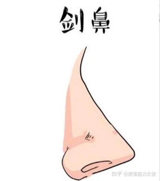 鼻子对面部的影响?如何判断自己属于什么鼻形? - 知乎