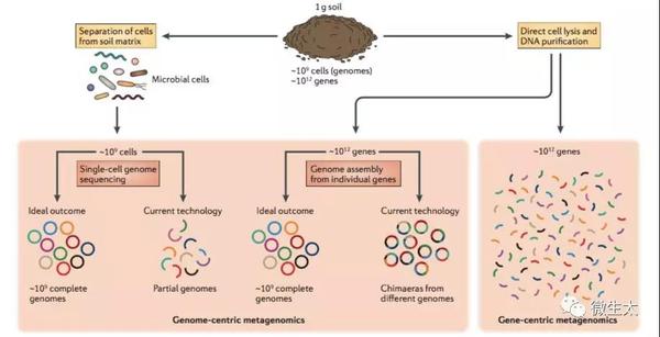 综述 组学技术在土壤微生物生态学研究中的应用 知乎