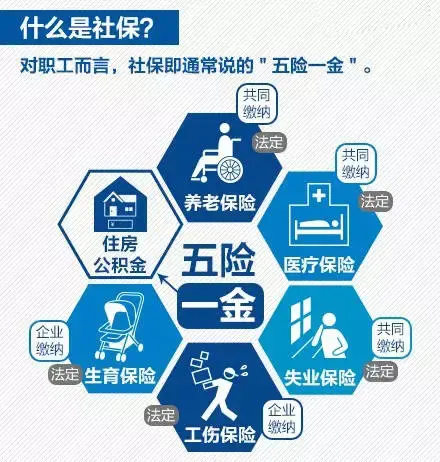 损失人口比例_加拿大人口比例图(2)