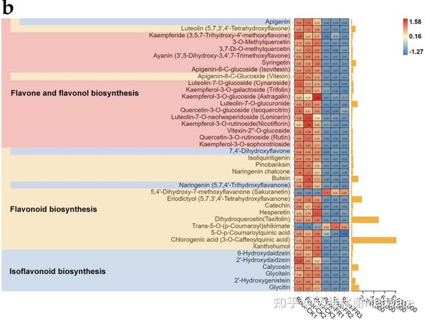 项目文章 | 广西大学两篇多组学文章系统揭示仙环生态系统的功能机制 - 知乎