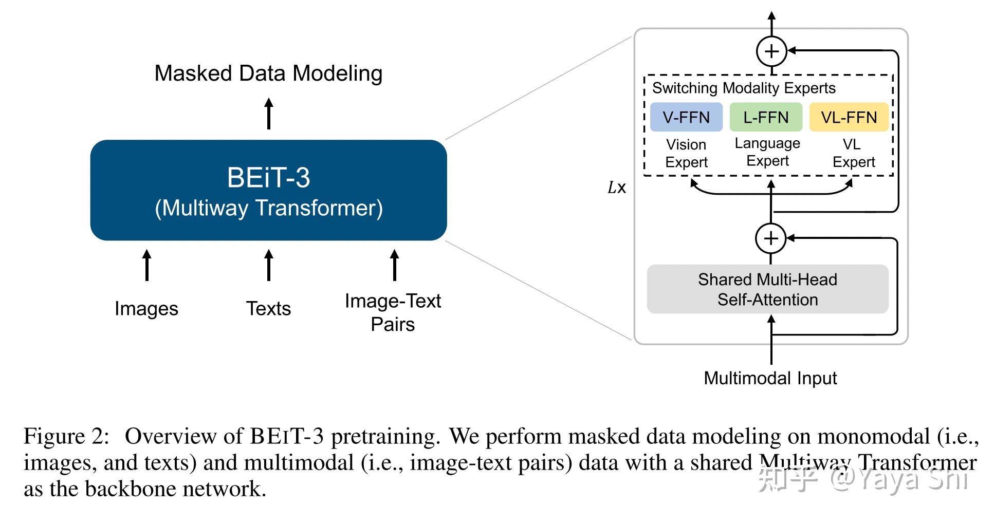 Mim for cv and vl 