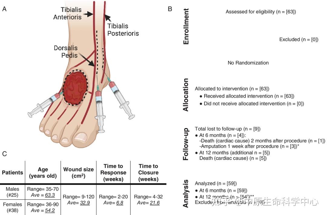 细胞疗法到底有没有用是不是智商税