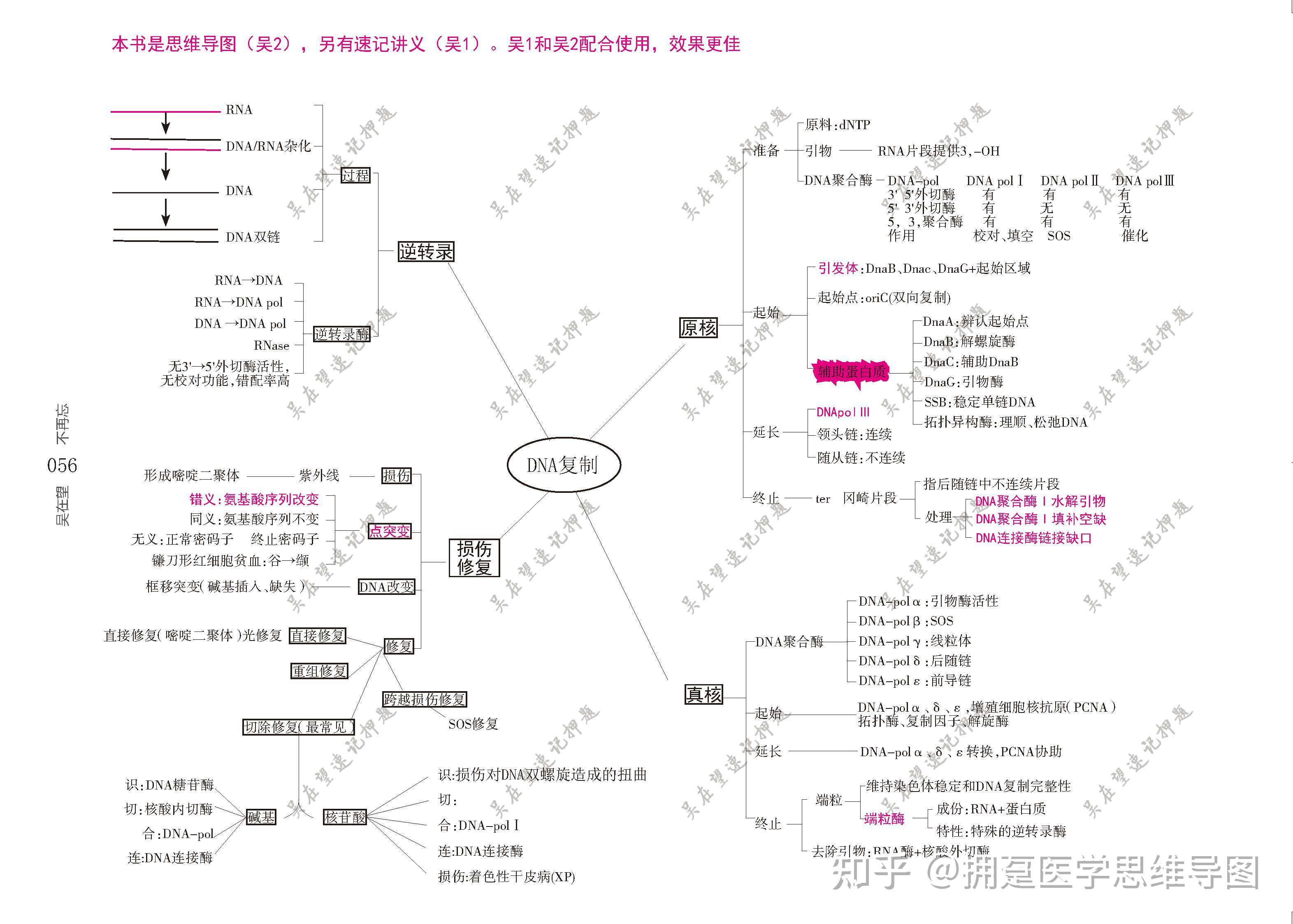 大二复习生物化学要从哪里入手? 