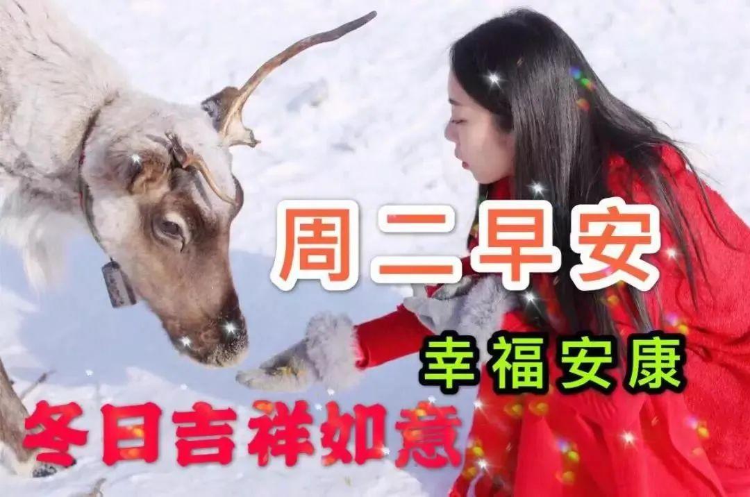 朋友早上好冬天最美祝福早上好的话语冬季早安幸福动态图片带字