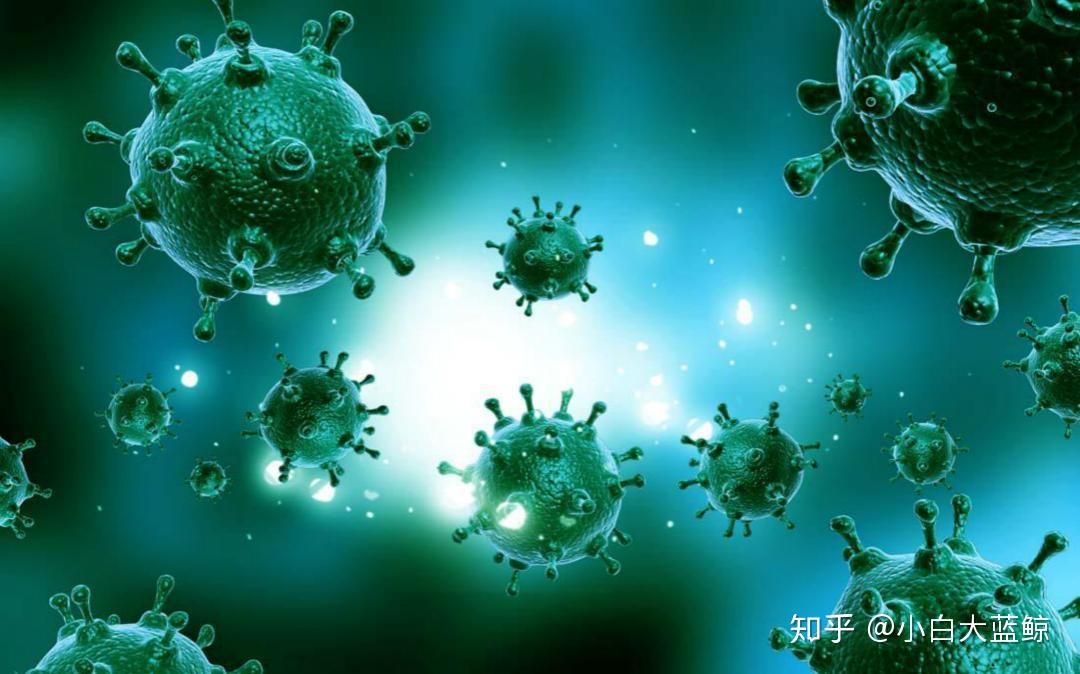 人类历史上十大瘟疫有哪些？哪种瘟疫杀死的人最多？ - 知乎