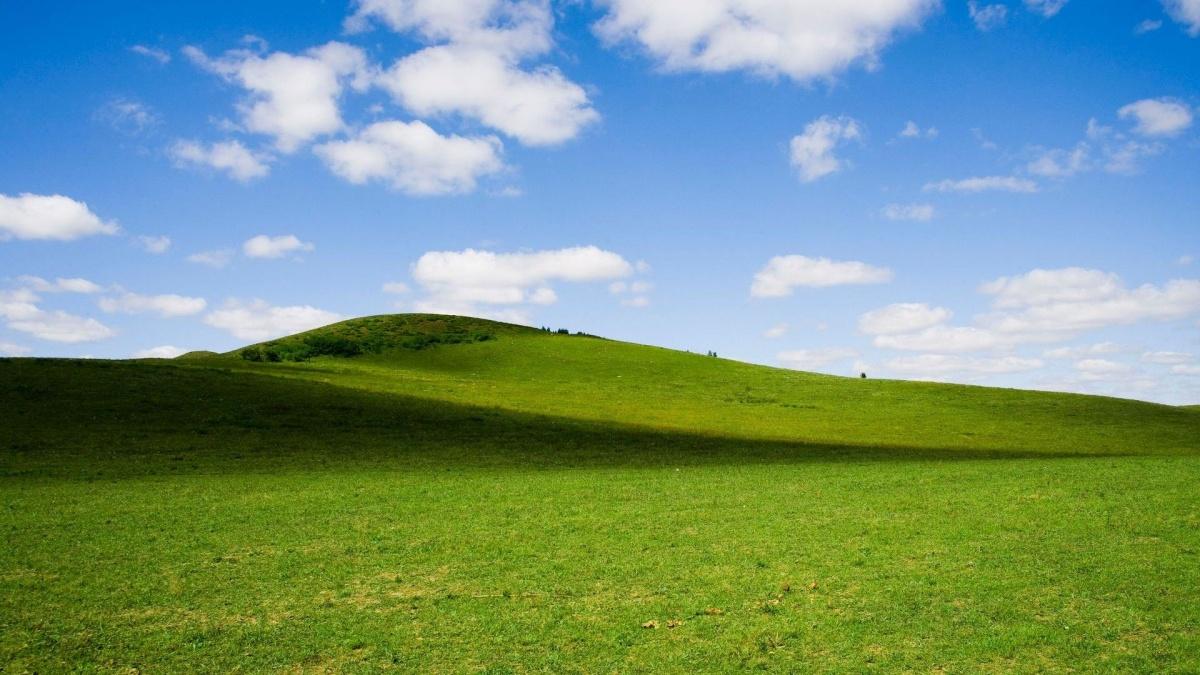 转眼睛看绿色不护眼真正的护眼色居然是黑色