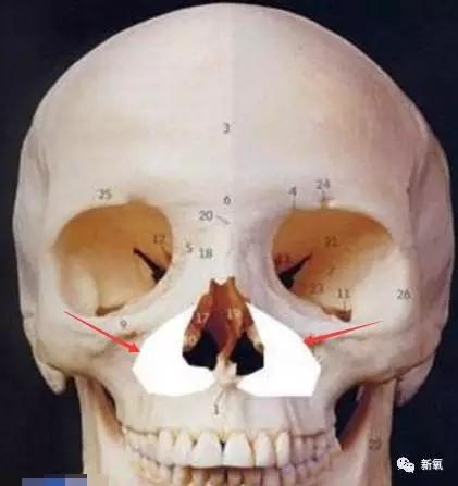 全面分析严重影响颜值但可能被轻易忽视的中面部发育不足!