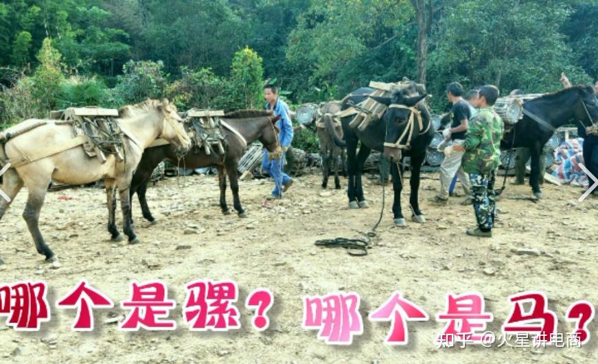【爆单了没货怎么办】不想当半路熄火的网店卖家，今天手把手教你，如何找到一件代发的货源供应商！ - 知乎