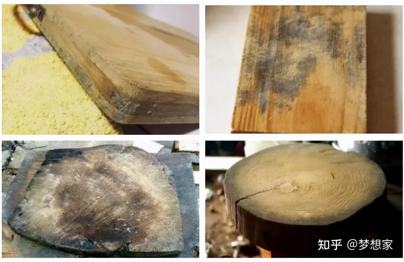 菜板发霉开裂一直是许多人头疼的问题,发霉的菜板滋生大量致病菌,会