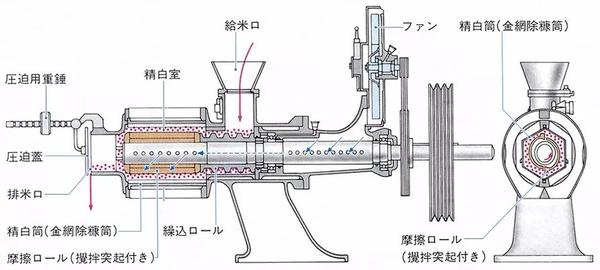 山田锦瘦身记 知乎