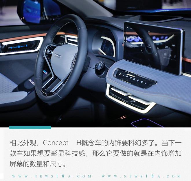 金玉其外且内有乾坤实拍哈弗concepth