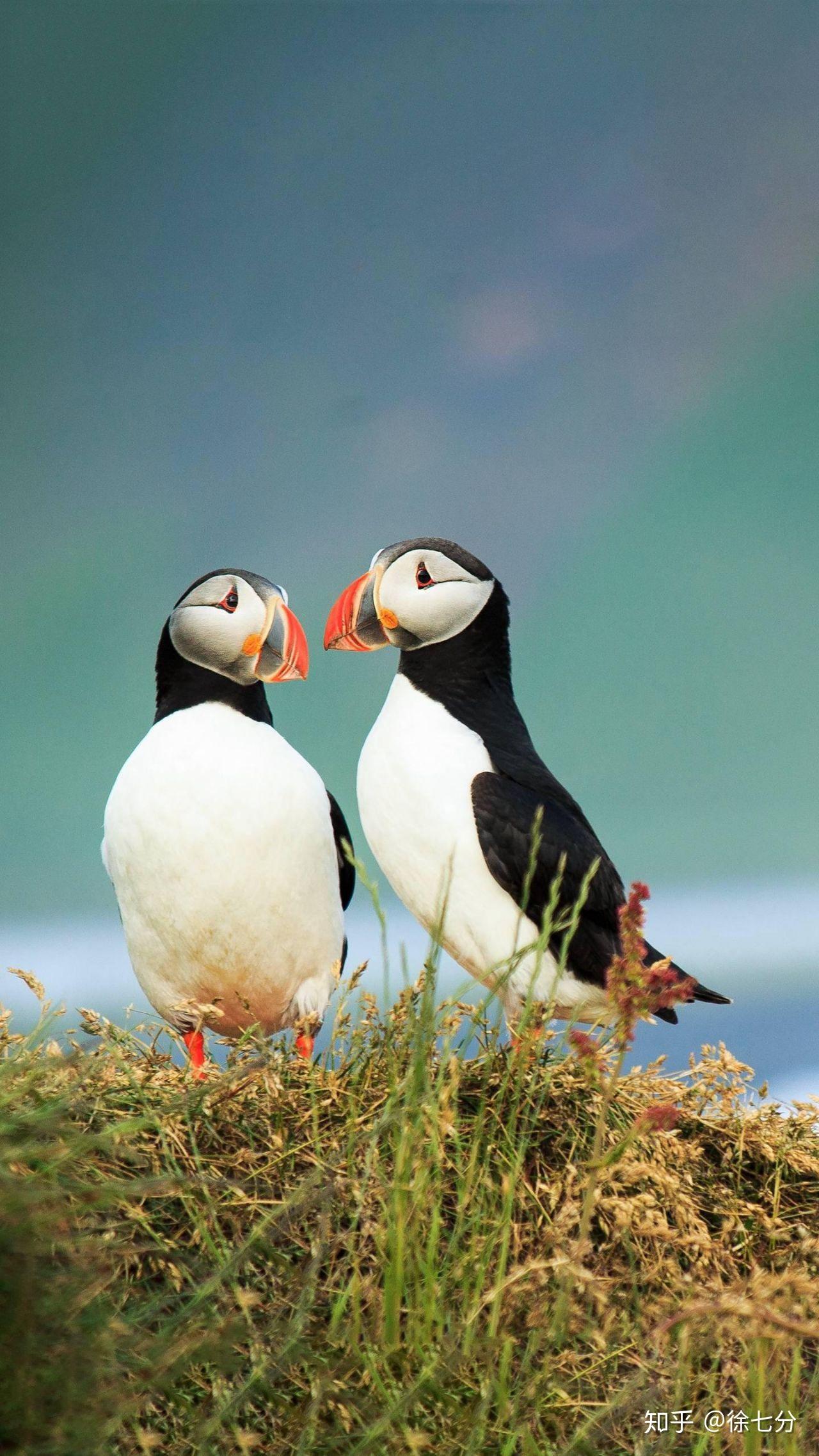 我们交往的目的?