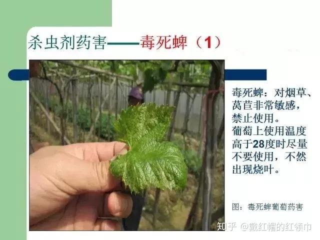 如何正确识别药物名称 v2-150fee5badba7243e39764d9c32303e5_r.jpg