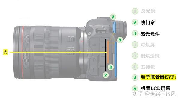 摄影新手入门:单反、微单和类单相机有什么区别?1张表看懂彼此差异 - 知乎