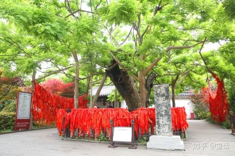 大鼎,有将署,有项王手植槐,还有石碑和梧桐树……是西楚文化的发源地