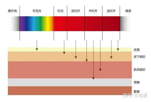 生命光波-红外线 - 知乎