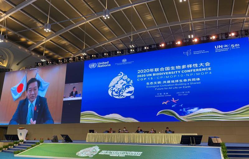 日本环境部建立全球承诺联合国生物多样性大会圆桌会议 知乎