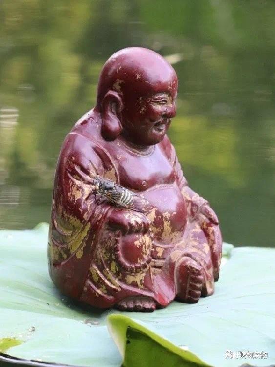 映物你知道一直笑呵呵的弥勒佛原来是不笑的吗