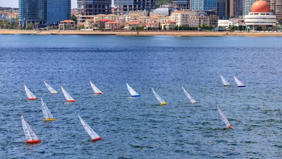 佳能70-200mm三代,小白伞实战测试,暨长焦选