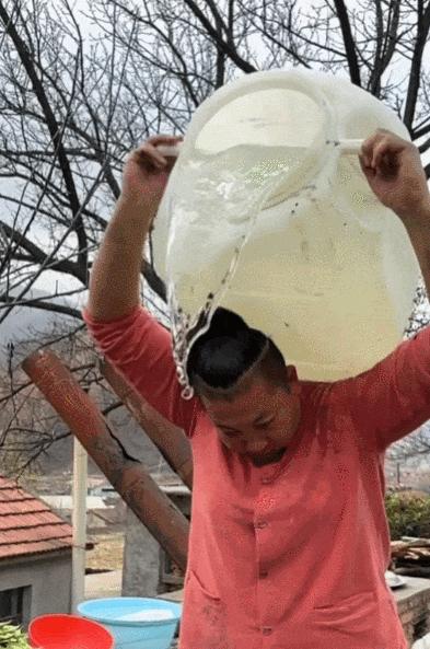 绑猪腿,搓生肌,杀猪,解剖…只见雨姐手起刀落,一头330公斤的成年猪就