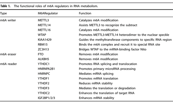 RNA m6A修饰在临床疾病中的研究思路 - 知乎