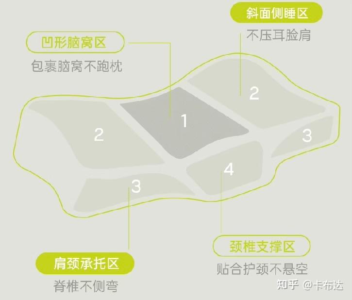 枕头推荐2025|自费3千元真实测评K老、躺岛、时光存折、7C、TLK、帕迪亚,记忆棉是智商税?枕头哪个牌子好? - 知乎