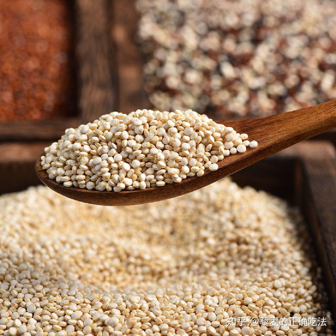 營養食物】小米的好處與營養價值 | Health Concept