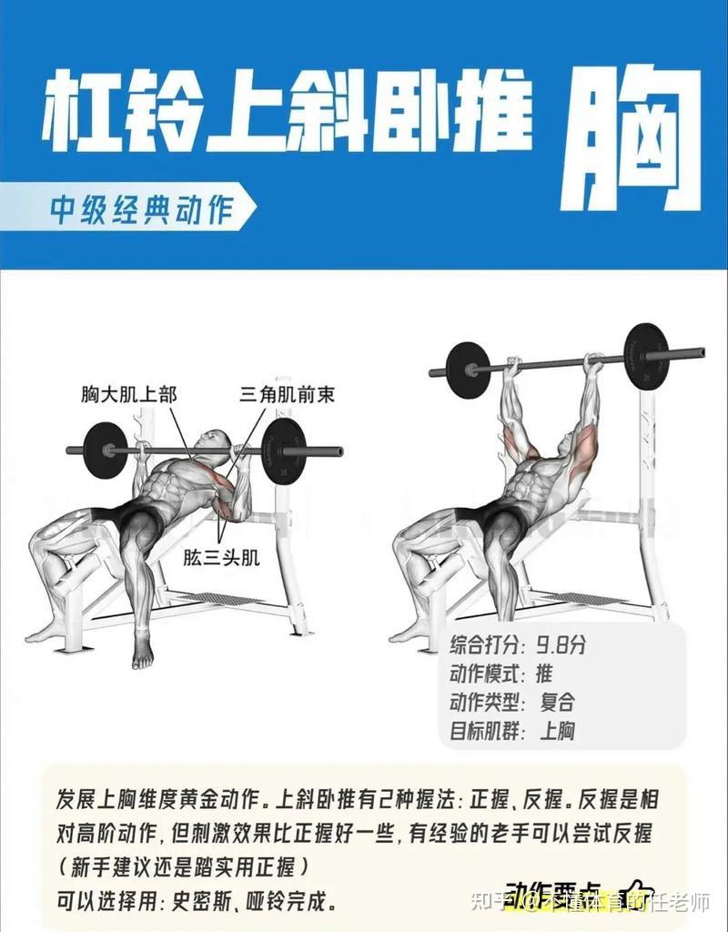平板杠铃卧推:动作要领与解析 - 知乎