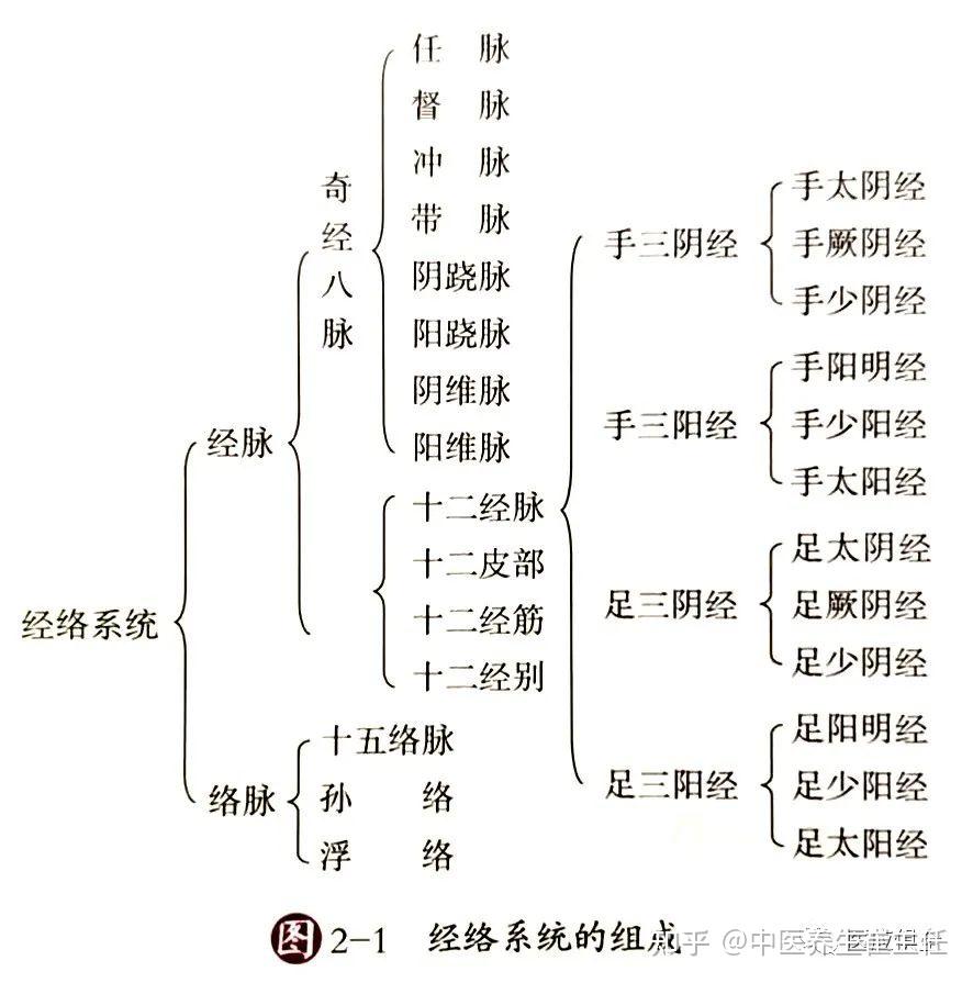 刺络放血疗法 第一篇【卫气营血理论】 - 知乎