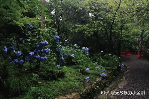 京都旅游小众但却绝美的景点 三千院 知乎