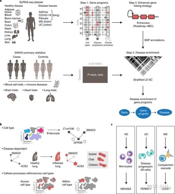Gwas 4 gwas scrna 