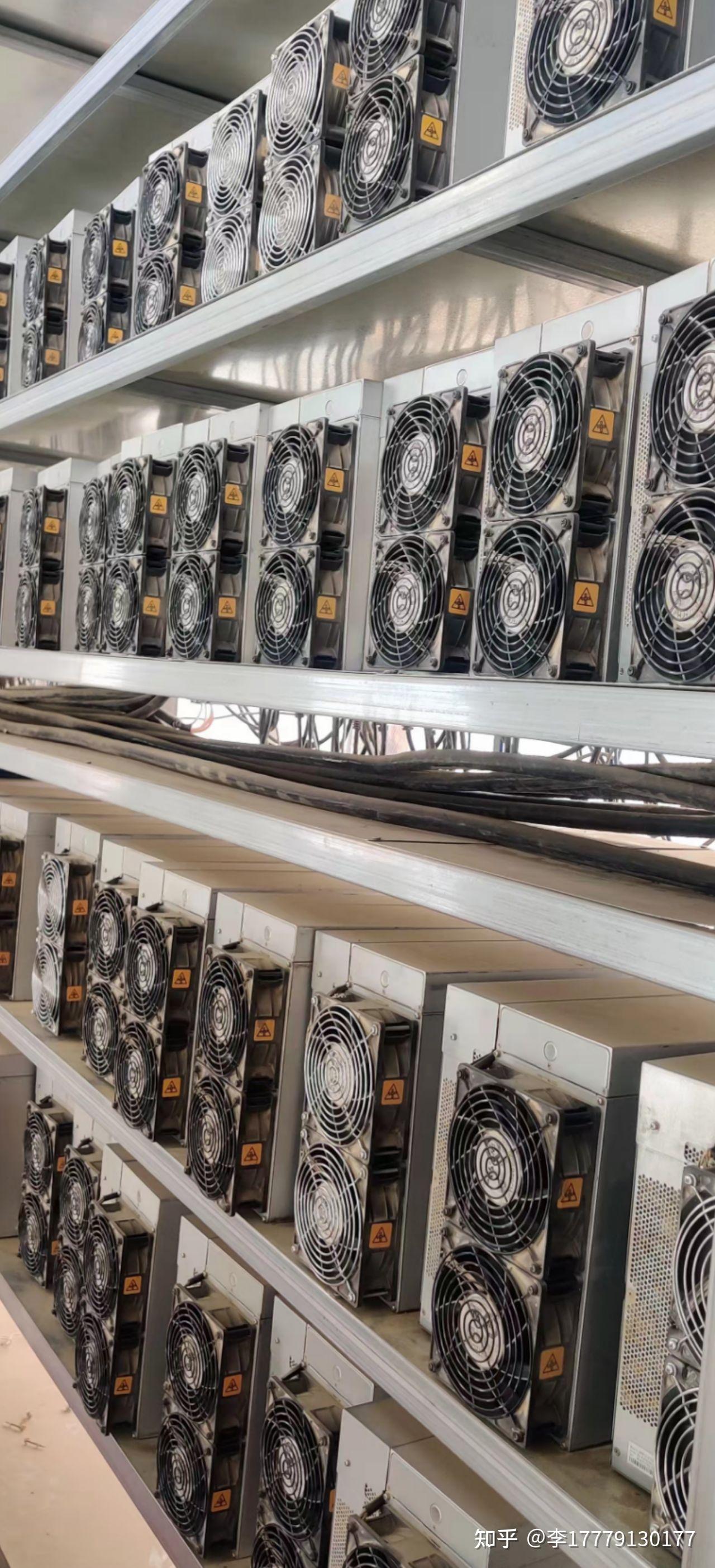 橙色迪丽热巴的蚂蚁s19稳赢人心