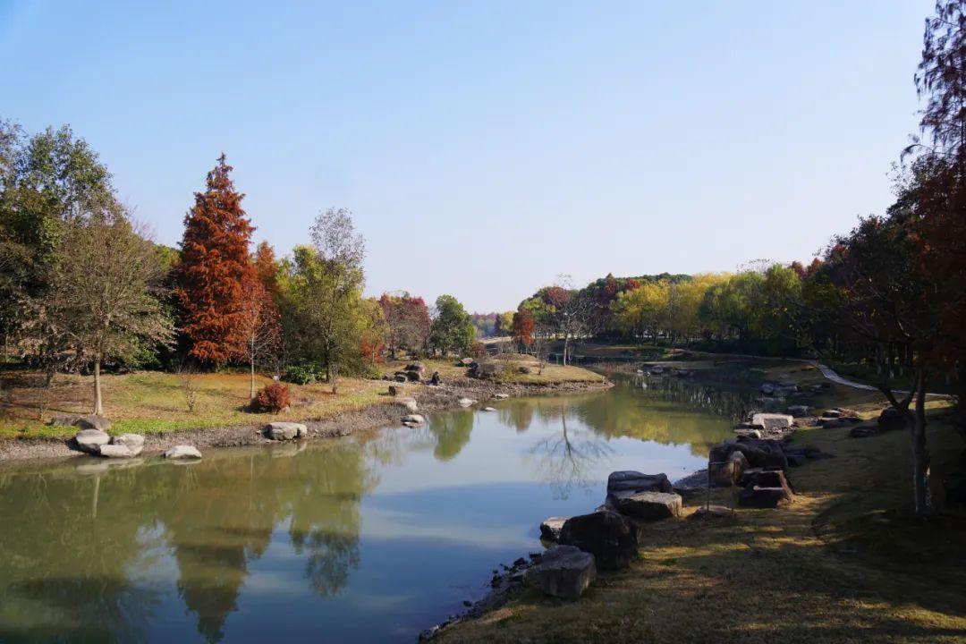 浦江第一湾公园