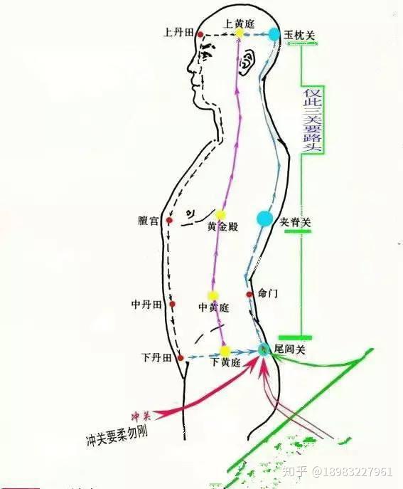 丹田准确位置图,上中下丹田的准确位置图片