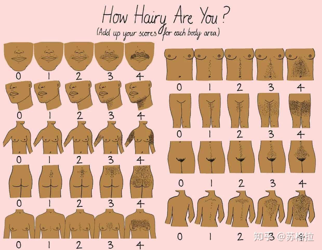 体毛对于男女性别意味着什么