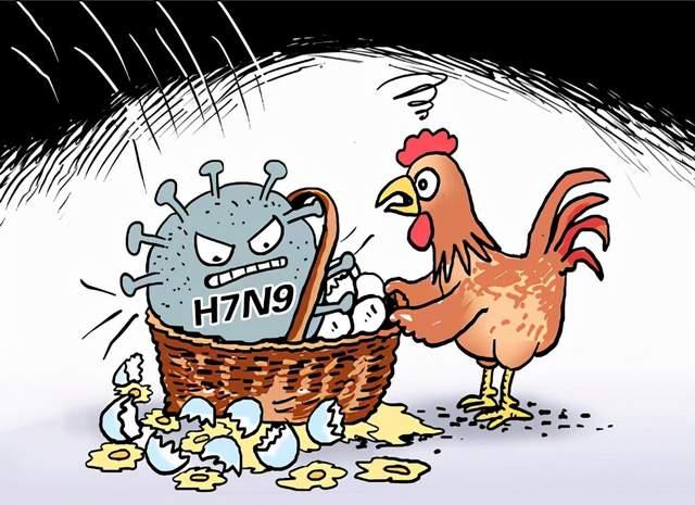 人人重视 预防人感染高致病性禽流感