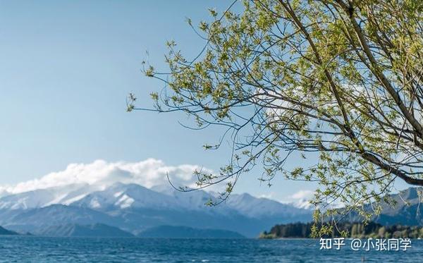 人生的意义是什么? 知乎