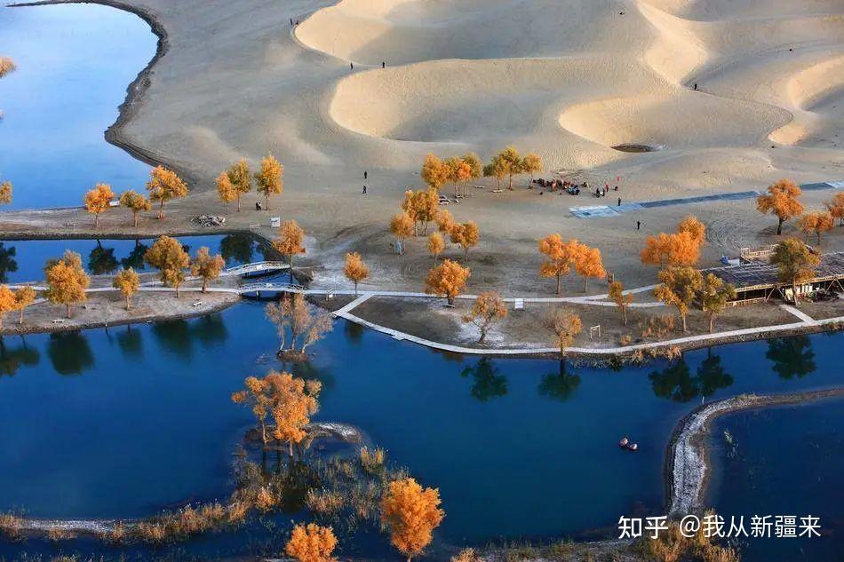 新疆若羌人口图片