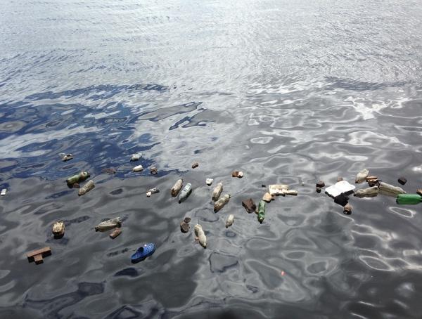 大海被污染图片