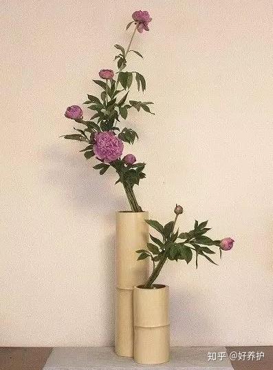 找了很久的插花干货,超全!