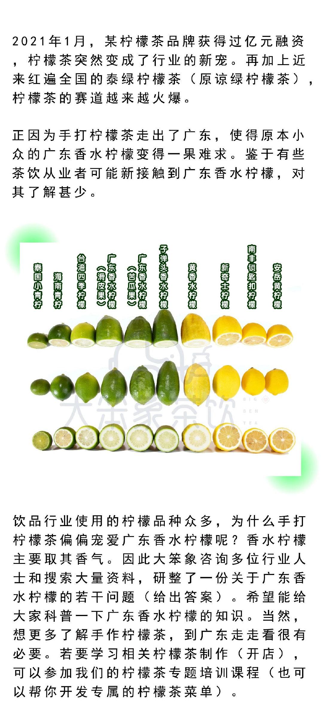 知识大全关于广东香水柠檬看这篇就够了
