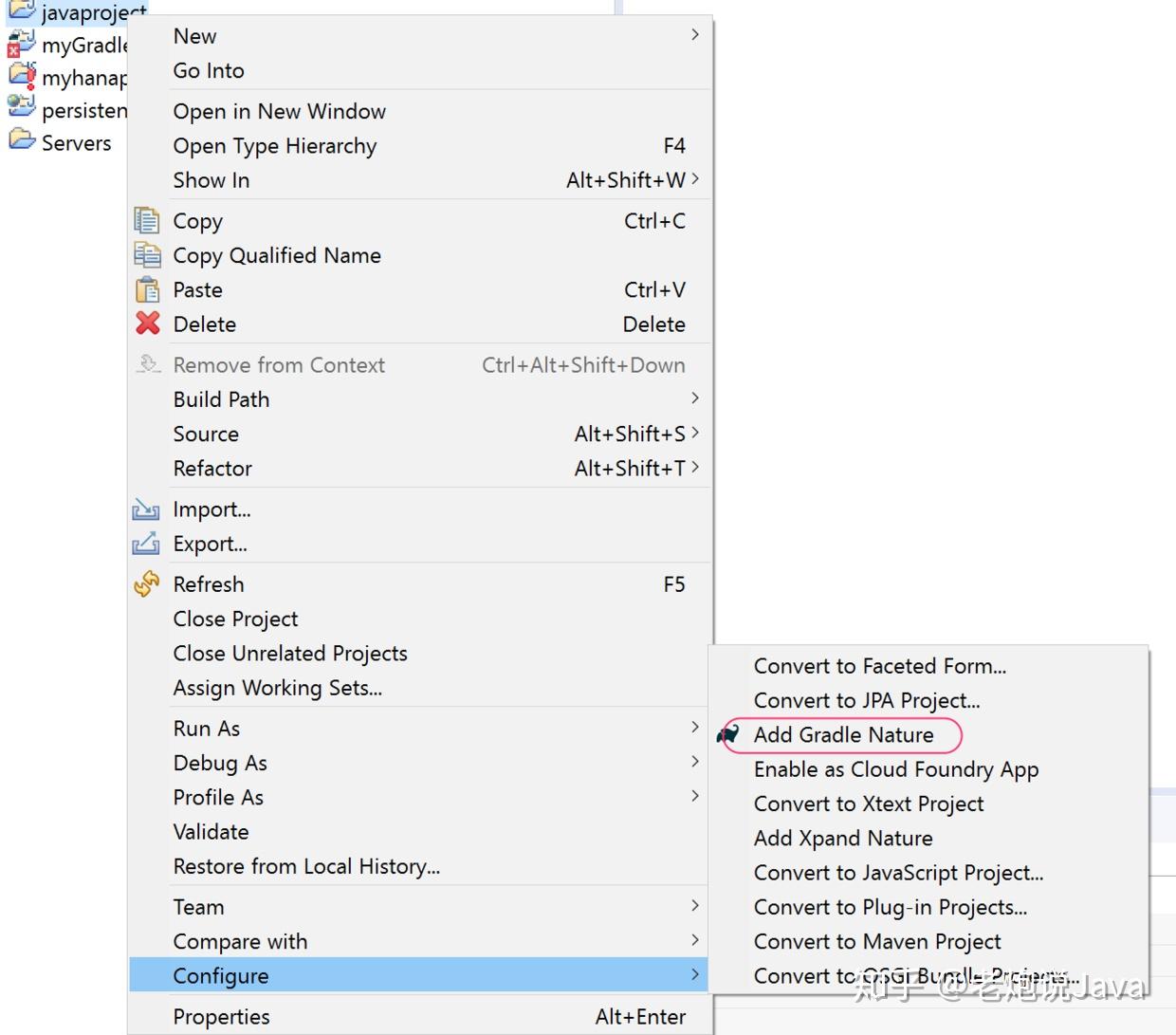  eclipse ide gradle 