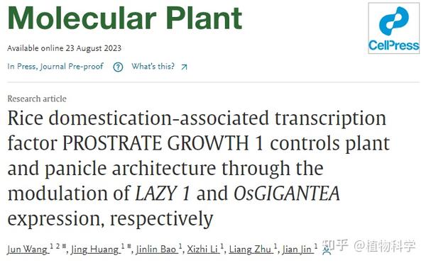 Prog1 Rice Mol Plant | 广西大学金健教授团队研究揭示了进化过程中水稻株型和穗型变化背后的分子机理 - 知乎